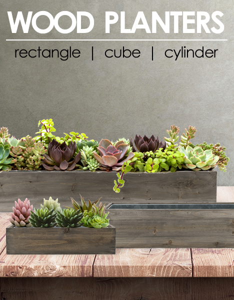 Rectangle Planter Box