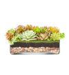 Square Glass Vase H-3.25"  Open-10"x10" (Free Shipping)