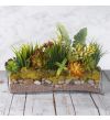 4" Long Rectangular Glass Vase Planter
