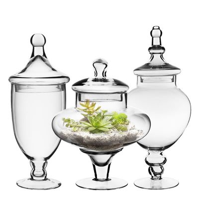 Set of 3 Glass Apothecary Jars Candy Buffet Containers - H: 14.75", 13.5", 10"