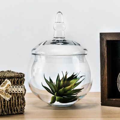 10 Inch Tall Clear Apothecary Jar Candy Buffet Container