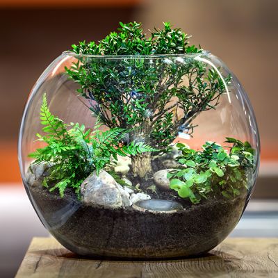 15" Clear Glass Bubble Round Shape Bowl 