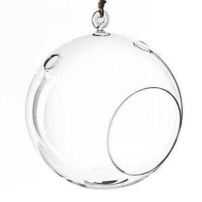 8" Glass Plant Terriarium Tealight Candle Holder