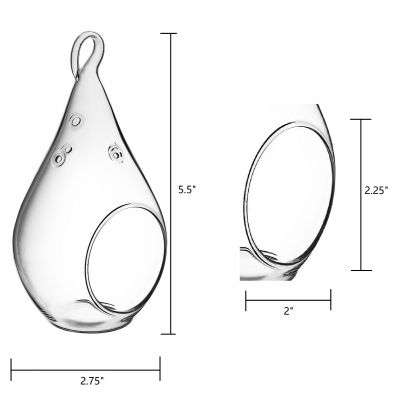 5.5" Glass Plant Terriarium Tealight Candle Holder