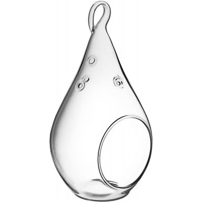 5.5" Glass Plant Terriarium Tealight Candle Holder