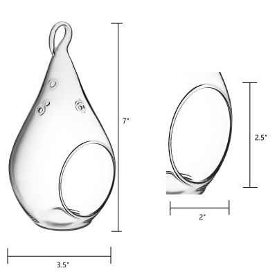 7.25" Glass Plant Terriarium Tealight Candle Holder