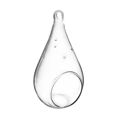 7.25" Glass Plant Terriarium Tealight Candle Holder
