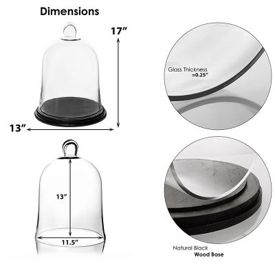 17" Glass Cloche with Wooden Base