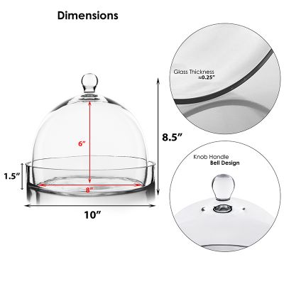 8.5" Glass Dome Cloche Plant Terrarium Bell Jar with Glass Tray