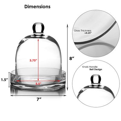 8" Glass Dome Cloche Plant Terrarium Bell Jar with Glass Tray