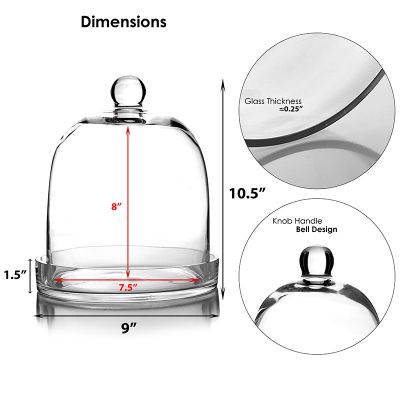 11" Glass Dome Cloche Plant Terrarium Bell Jar with Glass Tray