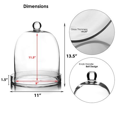 14" Glass Dome Cloche Plant Terrarium Bell Jar with Glass Tray