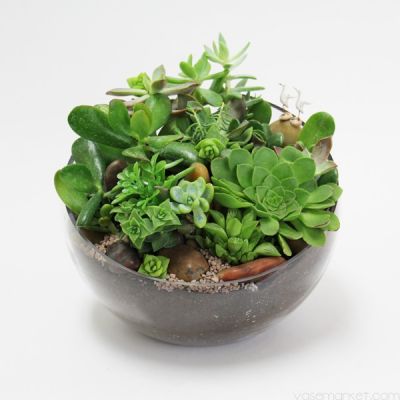 9" Slant Cut Asymmetrical Glass Bowl Vase Plant Terrarium Pod 