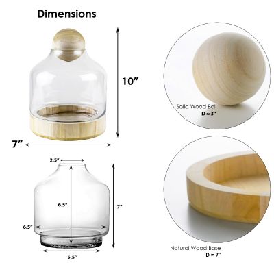 Glass Terrarium H-10" Container with Ball Stopper and Wood Base (Free Shipping)