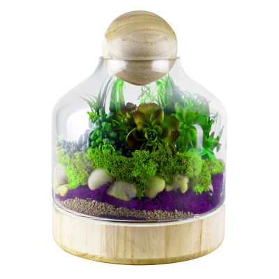Glass Terrarium H-10" Container with Ball Stopper and Wood Base (Free Shipping)