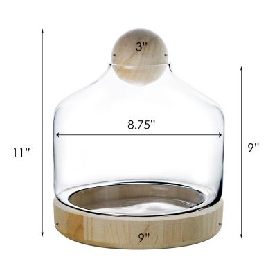 11.5" Danish Terrarium Glass Dome Cloche with Ball Stopper and Wood Base