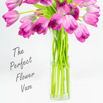 20" Decorative Glass Cylinder Vase
