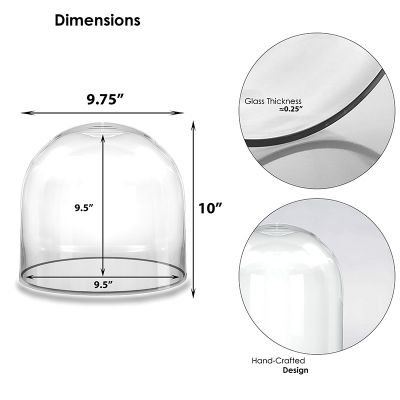 10" Decorative Glass Dome Cloche Plant Terrarium Bell Jars