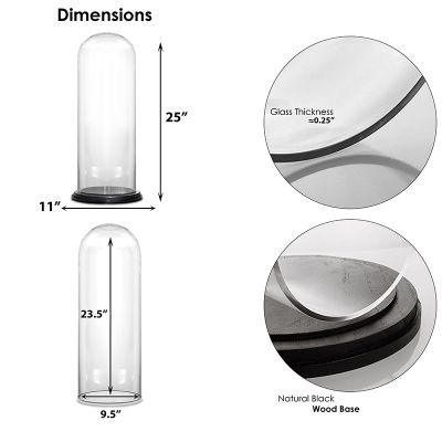 20" Decorative Glass Dome Cloche Plant Terrarium Bell Jars with Wood Base
