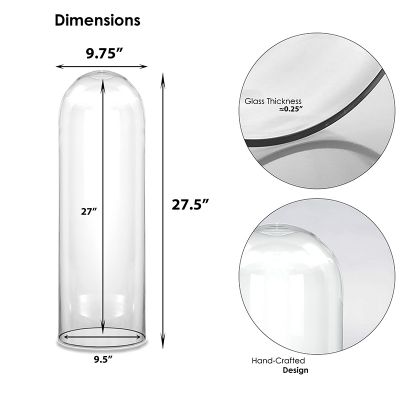 Glass Cloche Display Dome (H:27.5" D:9.75")
