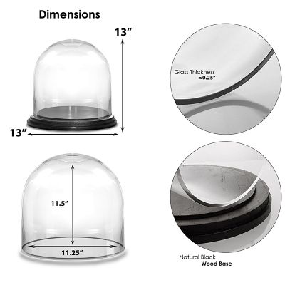 13" Decorative Glass Dome Cloche Plant Terrarium Bell Jars with Wood Base