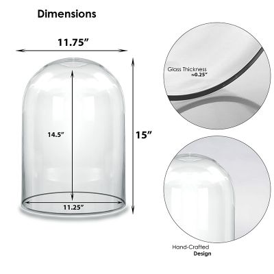 15" Decorative Glass Dome Cloche Plant Terrarium Bell Jars