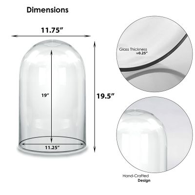 19.5" Decorative Glass Dome Cloche Plant Terrarium Bell Jars