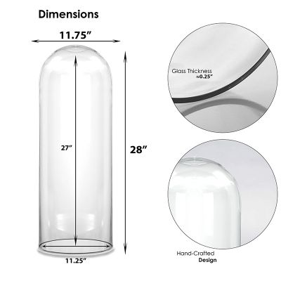 Glass Cloche Display Dome (H:28" D:11.75")