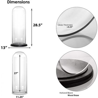 Glass Cloche Display Dome With Black Wood Base (H:28.5" D:13")