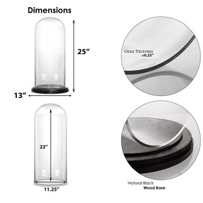 Glass Cloche Display Dome With Black Wood Base (H:25" D:13")