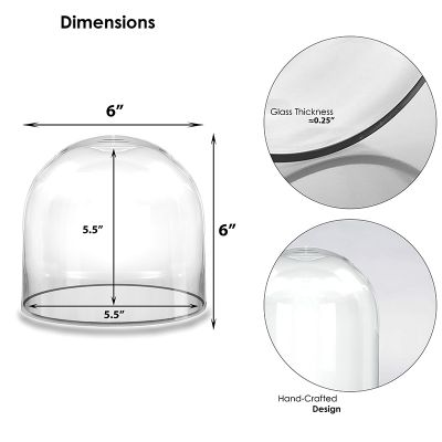 10.5" Decorative Glass Dome Cloche Plant Terrarium Bell Jars