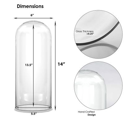 10.5" Decorative Glass Dome Cloche Plant Terrarium Bell Jars