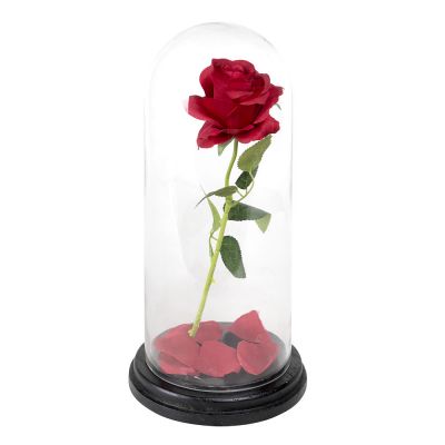 10.5" Decorative Glass Dome Cloche Plant Terrarium Bell Jars