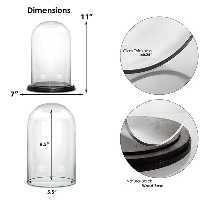 11" Decorative Glass Dome Cloche Plant Terrarium Bell Jars with Wood Base