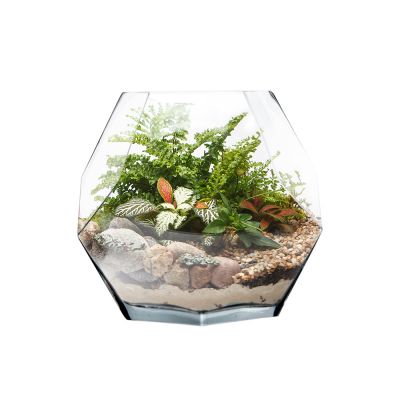7" Geometric Faceted Gem Glass Terrarium Vases