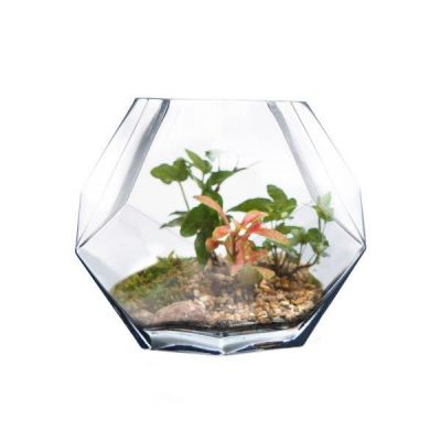 6" Geometric Faceted Gem Glass Terrarium Vases