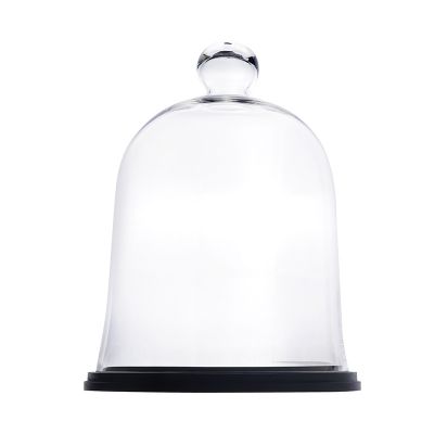 17" Glass Cloche with Wooden Base