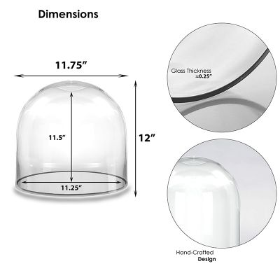 12" Decorative Glass Dome Cloche Plant Terrarium Bell Jars