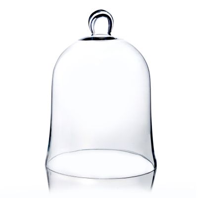 12" Glass Dome Cloche Plant Terrarium Bell Jars