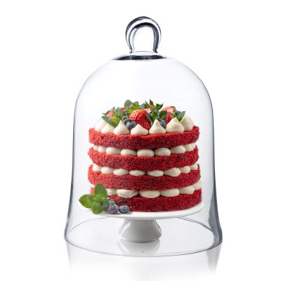 12" Glass Dome Cloche Plant Terrarium Bell Jars