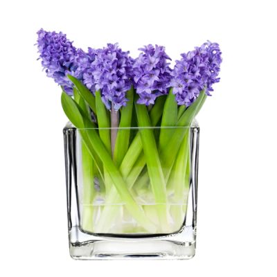 4" Decorative Square Cube Glass Vase