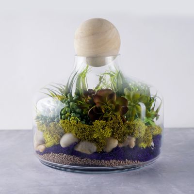 10" Danish Terrarium Glass Dome Cloche with Ball Stopper and Wood Base