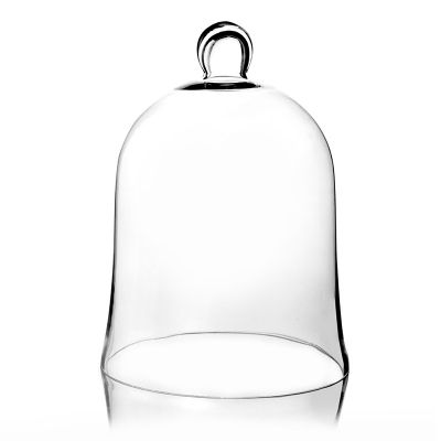 12" Glass Dome Cloche Plant Terrarium Bell Jars
