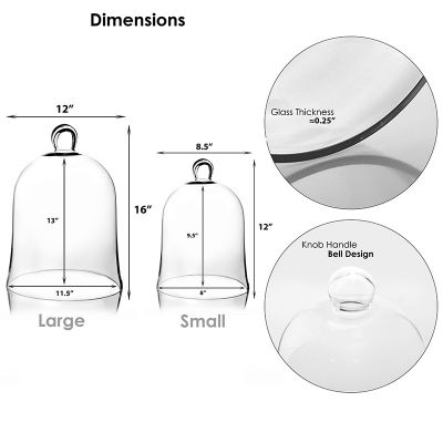 16" 12" Set of 2 Bell Dome Glass Cloche 
