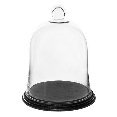 13" Glass Cloche Terrarium With Black Wood Base