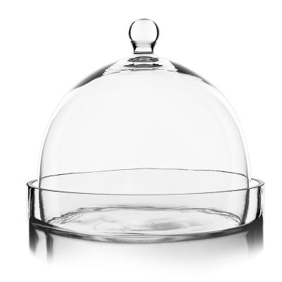 7.5" Glass Dome Cloche Plant Terrarium Bell Jar with Glass Tray