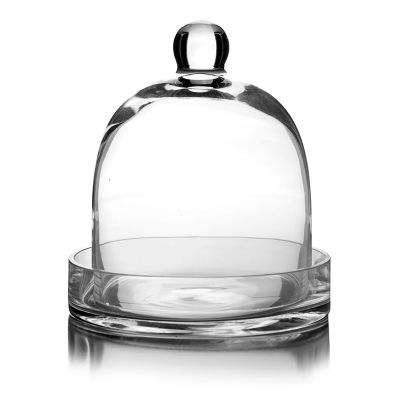 8" Glass Dome Cloche Plant Terrarium Bell Jar with Glass Tray