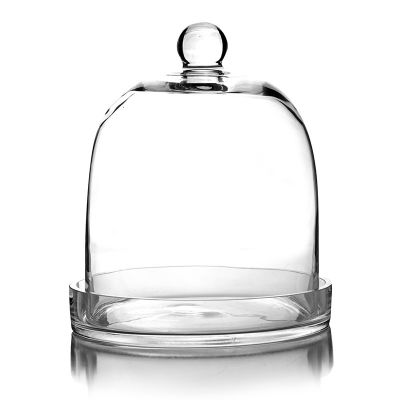 11" Glass Dome Cloche Plant Terrarium Bell Jar with Glass Tray