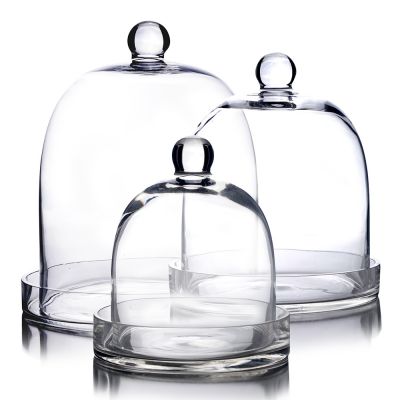 Glass Cloches Dome with Glass Tray Tabletop Terrarium