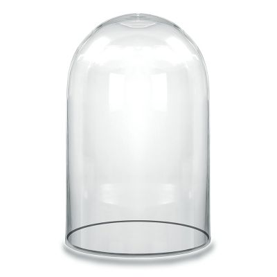 15" Decorative Glass Dome Cloche Plant Terrarium Bell Jars